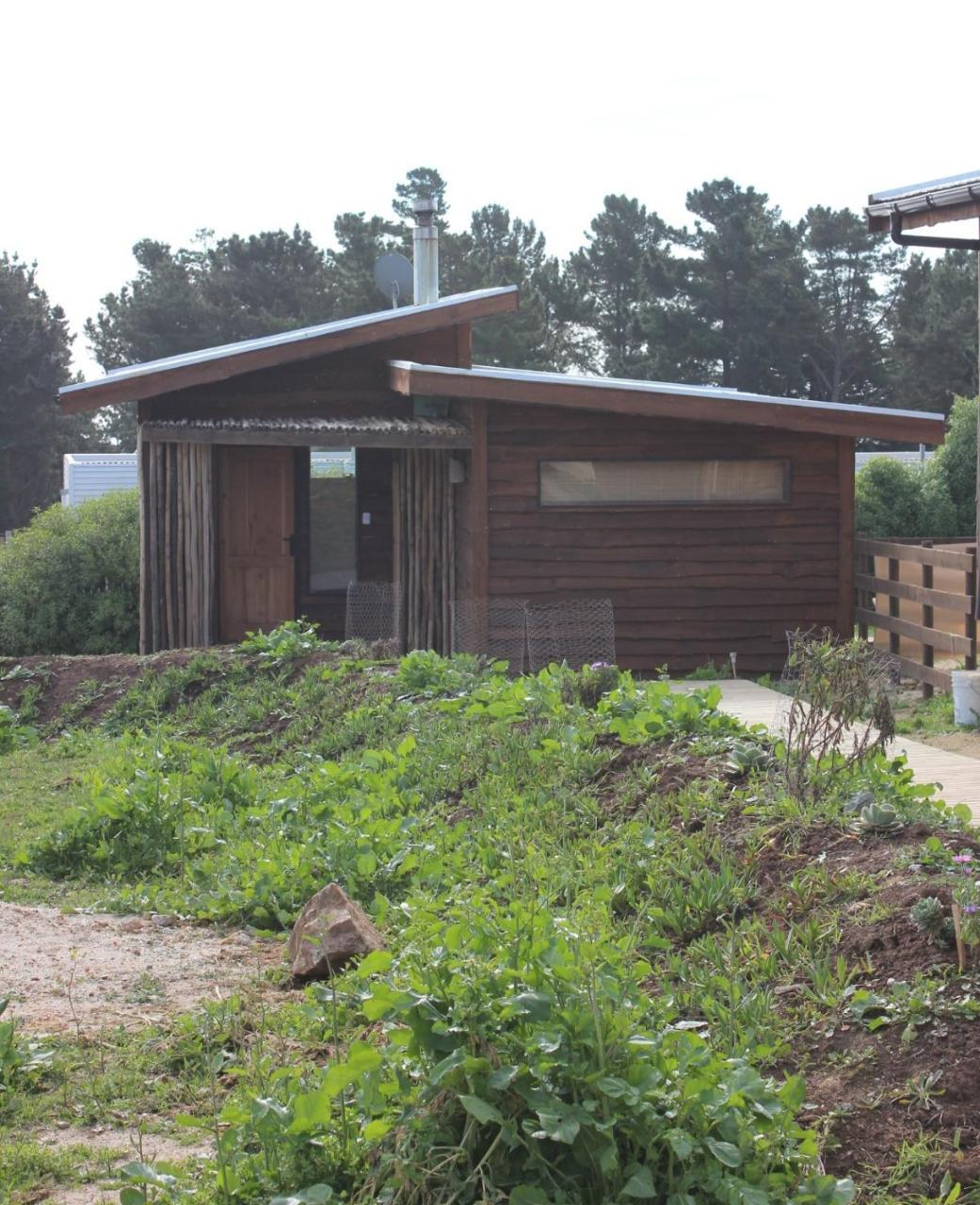 Cabanas Grulla ピチレム エクステリア 写真